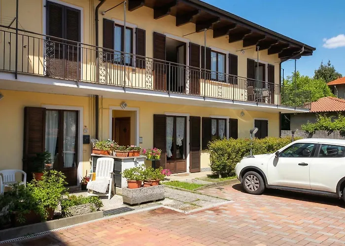 Petalo Bianco 100m From - Happy Daire *